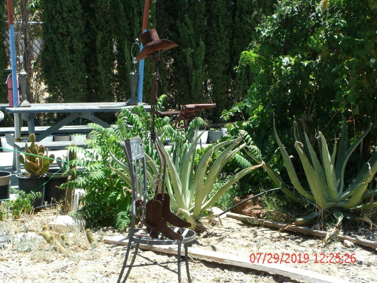 Safari Motor - Motel 2*