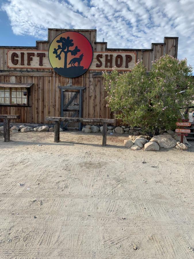 Safari Motor - Joshua Tree